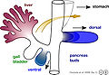 Thumbnail for version as of 13:59, 25 June 2008