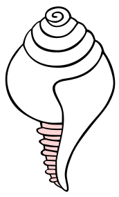 File:White conch symbol.svg