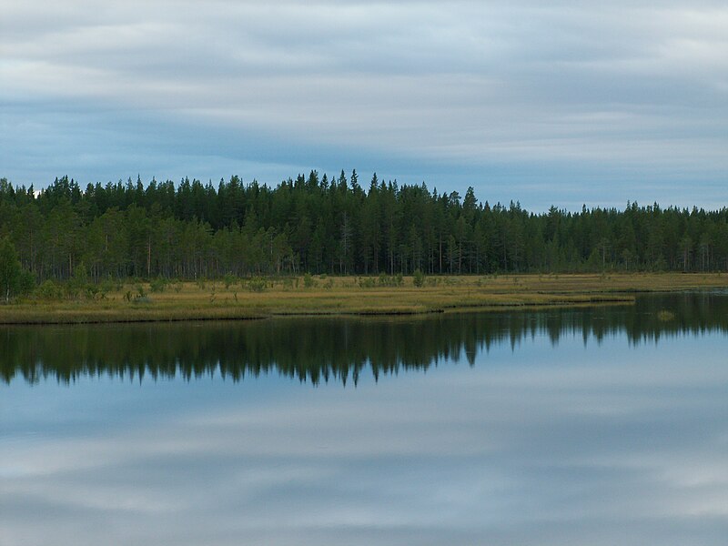 Файл:Hamra Nationalpark.jpg