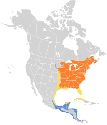 Hylocichla mustelina map.svg