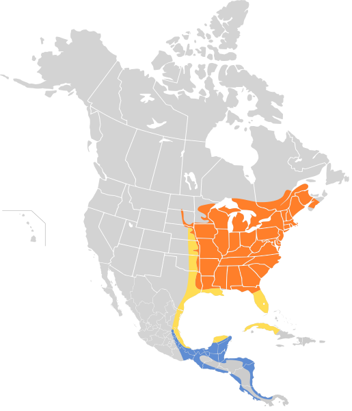 Archivo:Hylocichla mustelina map.svg