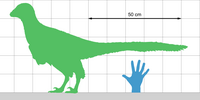 Size chart for Jianianhualong