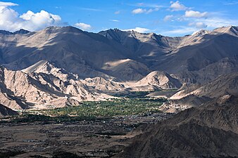 Leh viewed from Stok