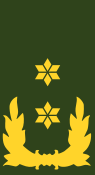 File:Nl-landmacht-generaal majoor.svg