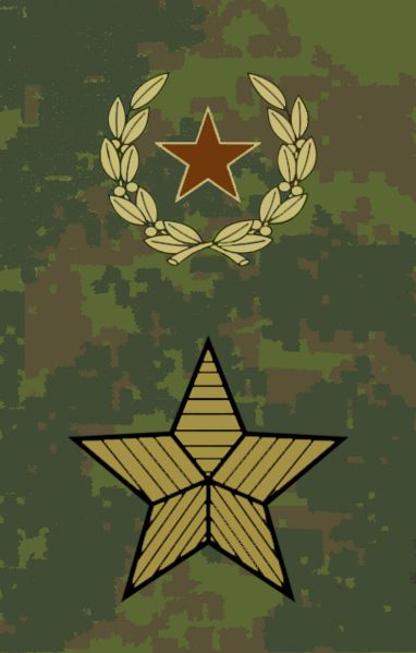 File:OF09 Army general fu-2013.png