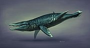 (Non-dinosaur) Pliosaurus