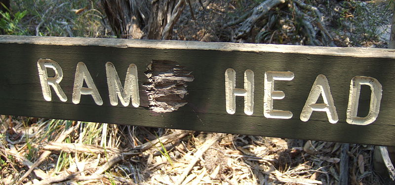 File:Rame head sign.jpg