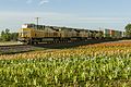 Image 14A Union Pacific freight train; high clearances enable double-stacked containers to be carried in well cars. (from Train)