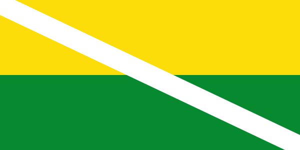 File:Flag of Chiriguaná (Cesar).svg