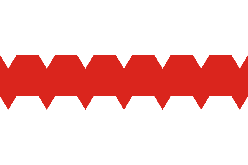 Файл:Flag of Omsk.svg