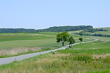 Herzogbirbaum Kreisgrabenanlage.jpg