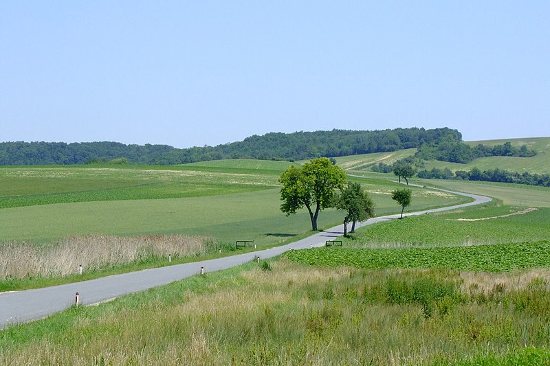 File:Herzogbirbaum Kreisgrabenanlage.jpg