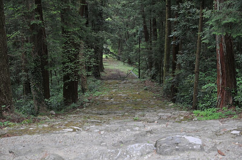 File:Kamiichinomiya Oawa Jinja 03.JPG