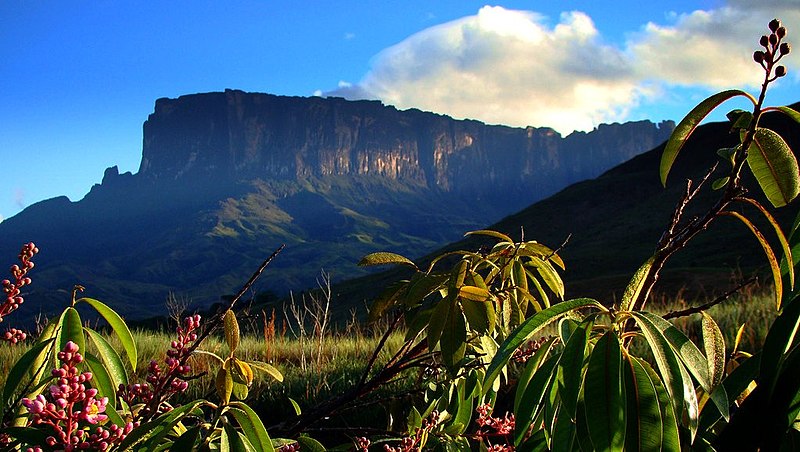 File:Kukenantepuyvenezuela.jpg