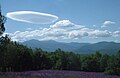 Altocumulus lenticularis