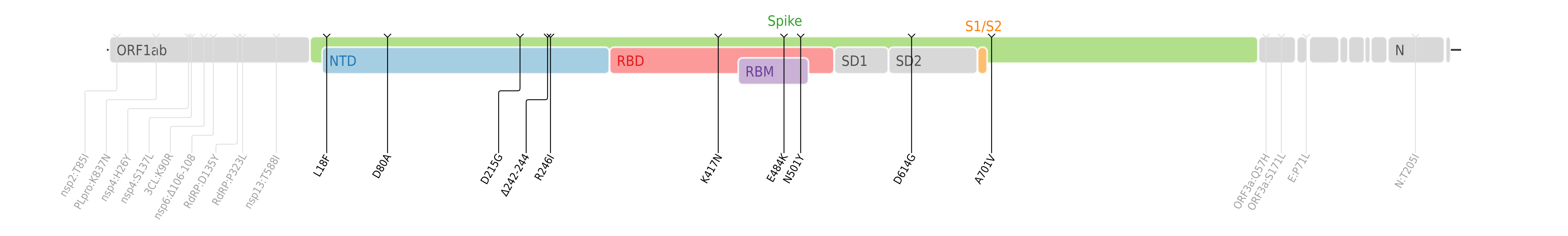 Amino acid mutations of SARS-CoV-2 Beta variant plotted on a genome map of SARS-CoV-2 with a focus on Spike.