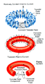 Tokamak magnetic field and plasma current.