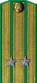 погон 1943