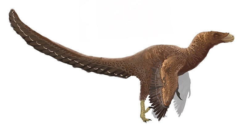 Archivo:Bambiraptor reconstruction.jpg