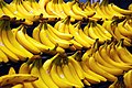 Bananas, like autumn leaves, canaries, and egg yolks, get their yellow color from natural pigments called carotenoids.