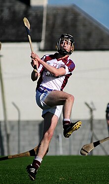 Brian Molloy (hurler) (cropped).jpg