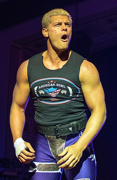 Archivo:Cody Rhodes November 2018.jpg