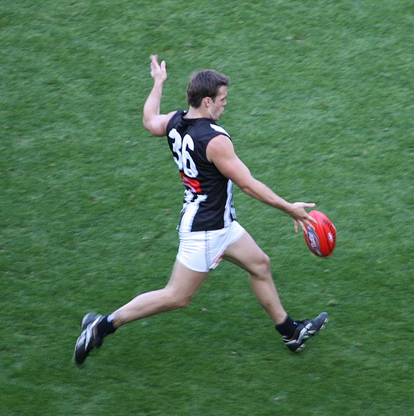 File:Dane Swan 2008.jpg