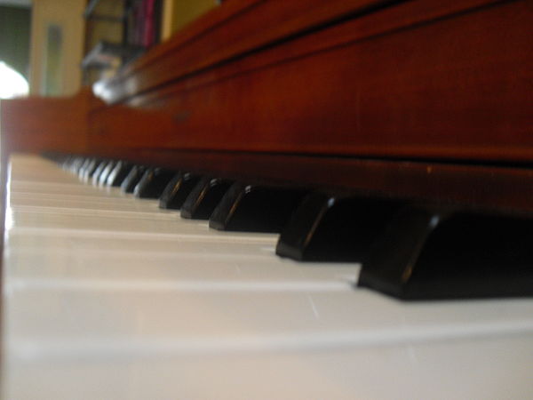 this is the most artistic picture of a keyboard uploaded :(