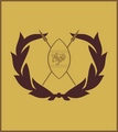 Warrant officer class 2 (Kenya Army)[49]