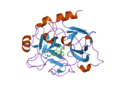 1zsl: Factor XI complexed with a pyrimidinone inhibitor