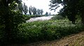 The River Aire as it approaches the River Ouse at Airmyn