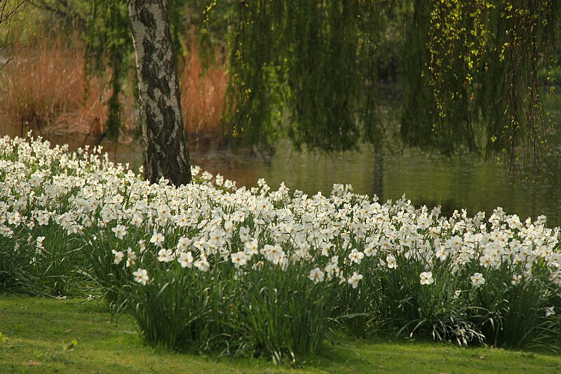 File:Spring in London (7116603849).jpg