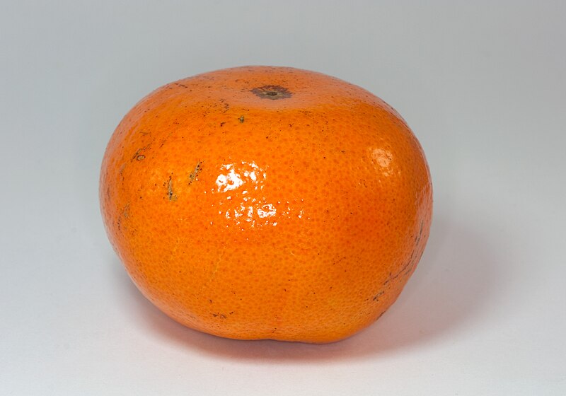 File:Tangerine 2009-03-11.jpg