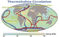 World map with colored, directed lines showing how water moves through the oceans. Cold deep water rises and warms in the central Pacific and in the Indian, while warm water sinks and cools near Greenland in the North Atlantic and near Antarctica in the South Atlantic.