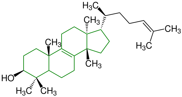 File:Tirucalladienol Strukturformel V2.svg