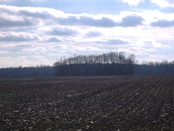 The W.C. Clemmons Mound, a historic site in the township