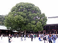 Patio exterior del santuario Meiji.