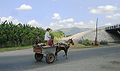 A horsecart in Santiago de Cuba.