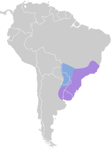 Archivo:Knipolegus cyanirostris map.svg