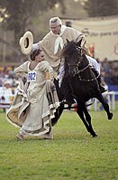 Peruvian paso in a show of marinera dance.