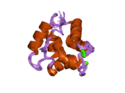 1ttx: Solution structure of human beta parvalbumin (oncomodulin) refined with a paramagnetism based strategy