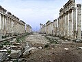 Apamea, Syria