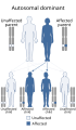 This condition is inherited in an autosomal dominant manner.