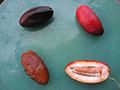 Fresh dates, clockwise from top right: crunchy, crunchy opened, soft out of skin, soft