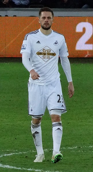 File:Gylfi Sigurdsson 2015.jpg