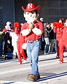 Herbie Husker