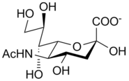 Neuraminic acid