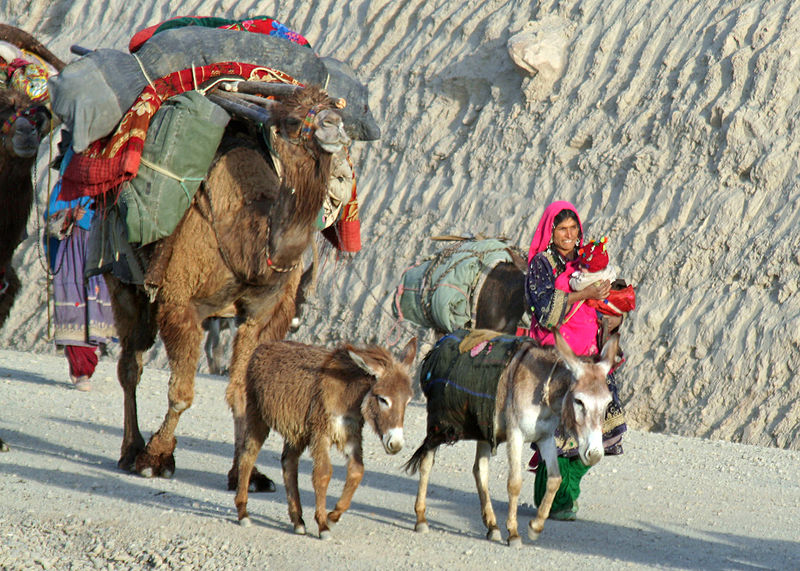 File:Nomadic Kuchi people.jpg