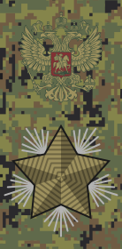 Файл:Russia-Army-OF-10-camo (2010).svg