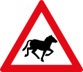 Horses Crossing